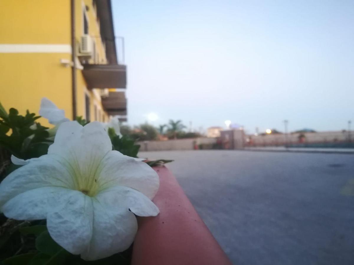 I Colori Dell'Etna Bed & Breakfast San Giovanni La Punta Exterior photo